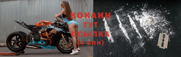 ешки Аркадак