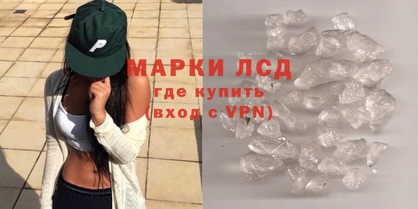ешки Аркадак
