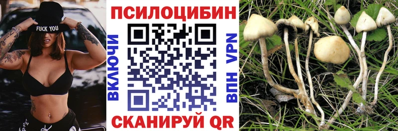 Псилоцибиновые грибы ЛСД  hydra зеркало  Правдинск 